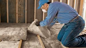 Best Insulation for New Construction  in Blue Grass, IA