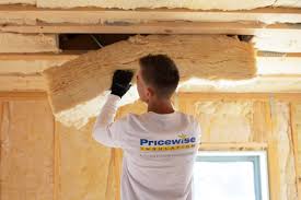 Best Weatherproofing Services  in Blue Grass, IA