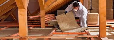 Best Attic Insulation Installation  in Blue Grass, IA