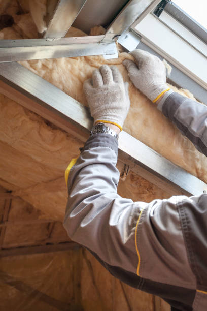 Best Reflective Insulation  in Blue Grass, IA