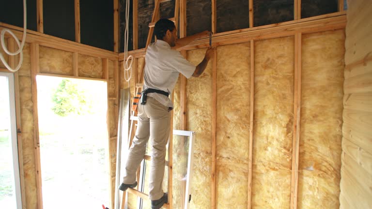 Best Insulation for New Construction  in Blue Grass, IA